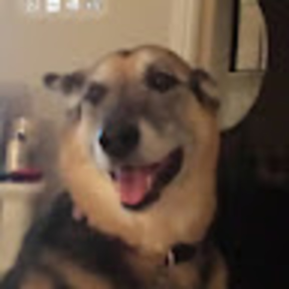 Meet your Posher, Allan - Picture 1 of 1